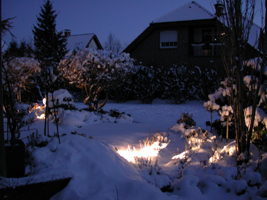 image-299