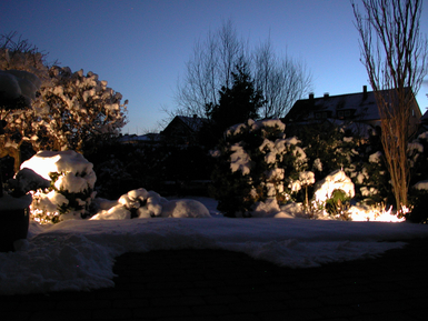 image-298